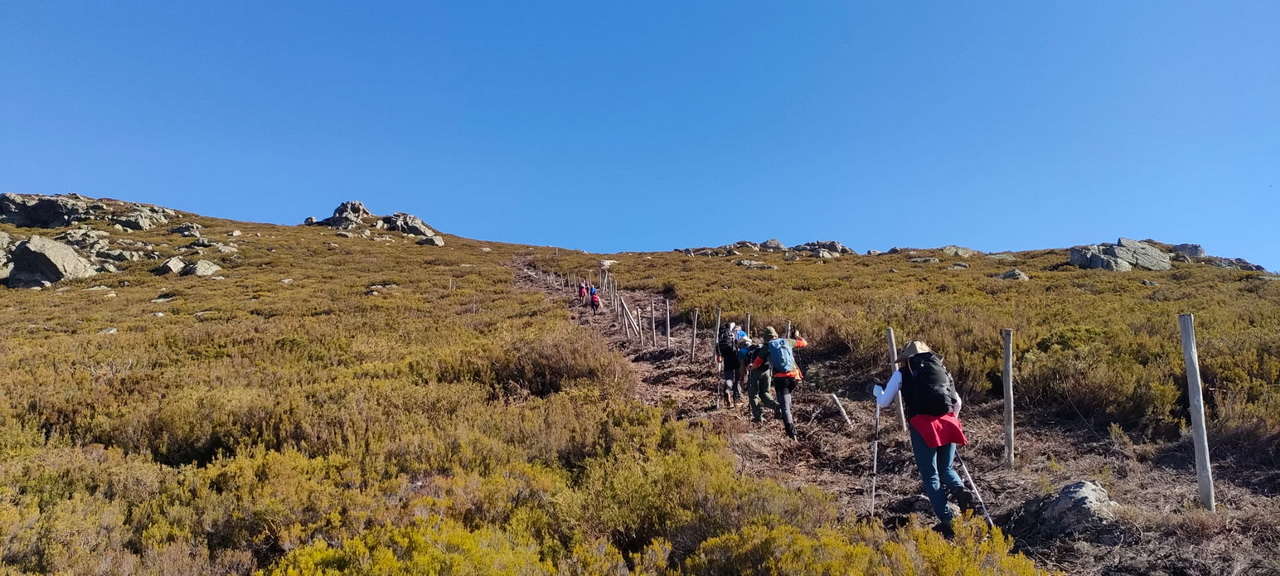 WhatsApp Image 2026-04-08 at 07.40.51 (6)